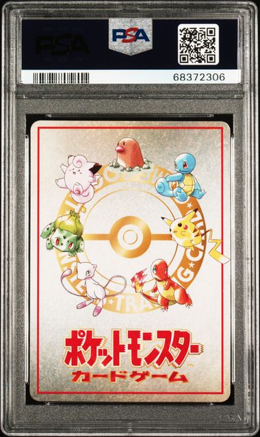 68372306