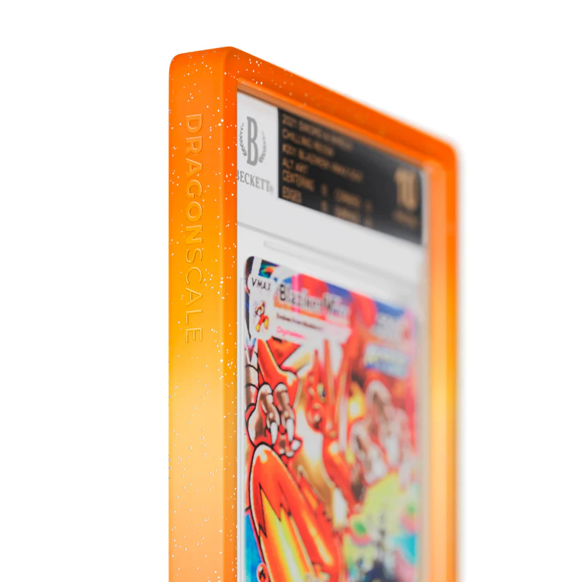 DS-BGS-R01