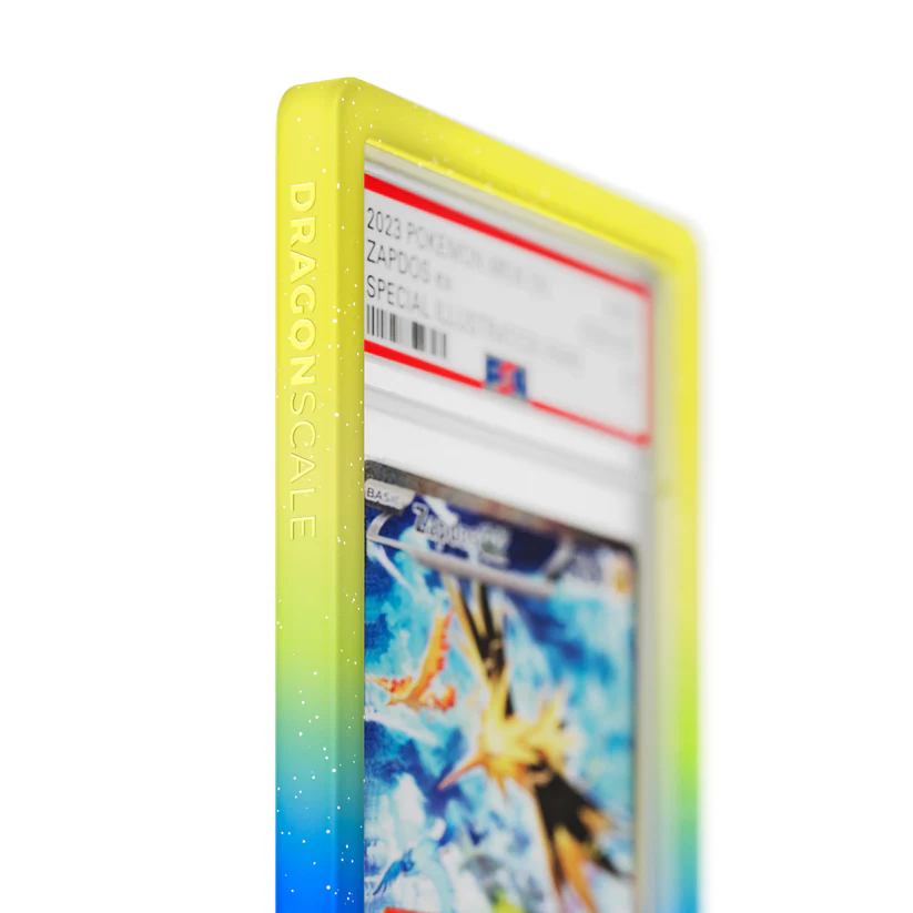 DS-PSA-R09