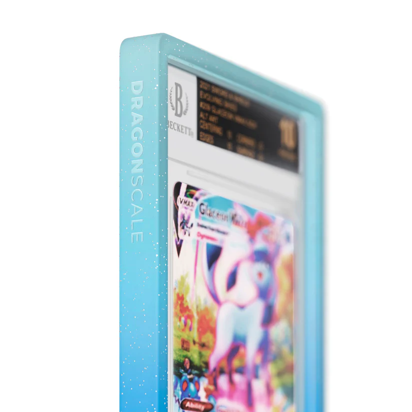 DS-BGS-R02