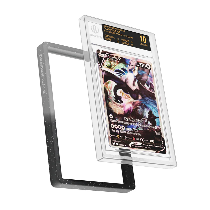 DS-BGS-R06