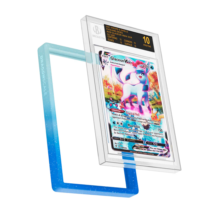 DS-BGS-R02